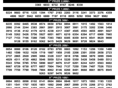 Today Kerala Lottery Result 3pm Dhanalekshmi 29 07 2026