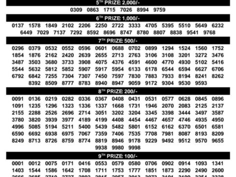 Today Kerala Lottery Result 3pm Bhagyathara 31 08 2026