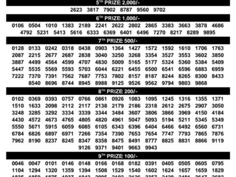 Today Kerala Lottery Result 3pm Dhanalekshmi 19 08 2026