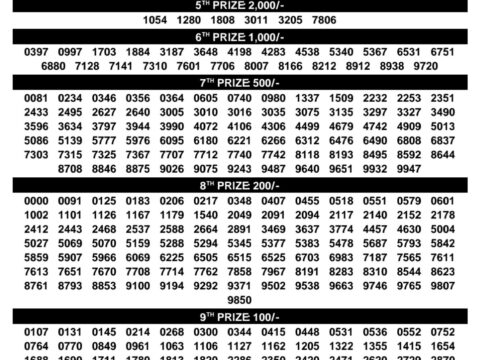 Today Kerala Lottery Result 3pm Karunya 29 08 2026