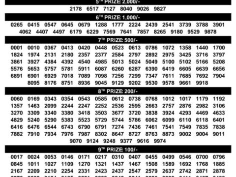 Today Kerala Lottery Result 3pm Karunya Plus 06 08 2026