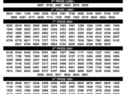 Today Kerala Lottery Result 3pm Karunya Plus 13 08 2026