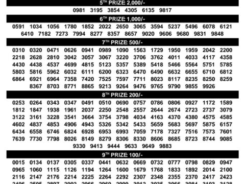Today Kerala Lottery Result 3pm Karunya Plus 20 08 2026