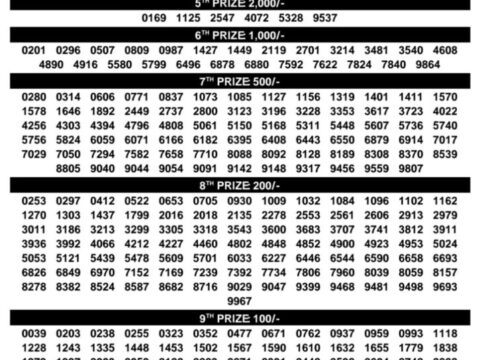 Today Kerala Lottery Result 3pm Samrudhi 23 08 2026