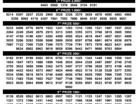 Today Kerala Lottery Result 3pm Samrudhi 30 08 2026