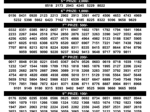 Today Kerala Lottery Result 3pm Sthree Sakthi 04 08 2026