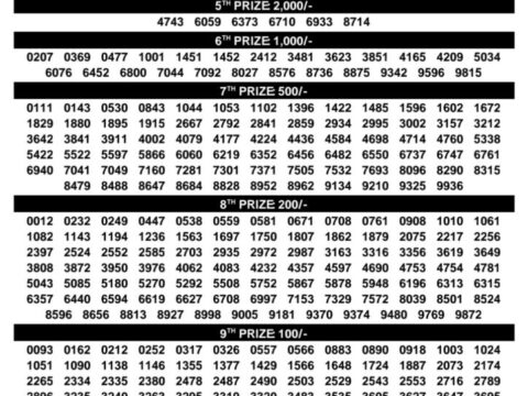 Today Kerala Lottery Result 3pm Sthree Sakthi 11 08 2026
