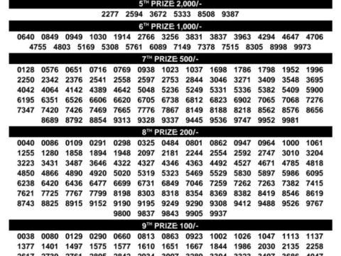 Today Kerala Lottery Result 3pm Dhanalekshmi 02 09 2026