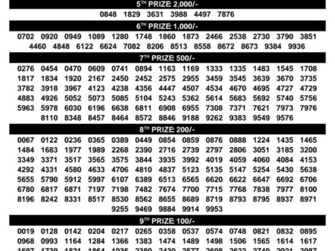 Today Kerala Lottery Result 3pm Dhanalekshmi 09 09 2026