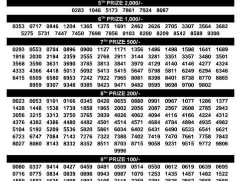 Today Kerala Lottery Result 3pm Samrudhi 13 09 2026