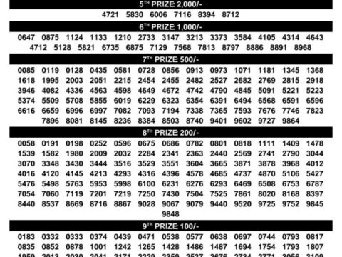 Today Kerala Lottery Result 3pm Samrudhi 20 09 2026