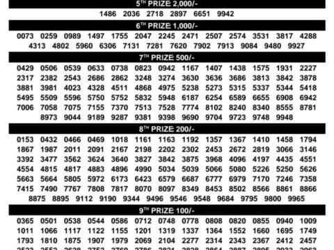 Today Kerala Lottery Result 3pm Sthree Sakthi 01 09 2026