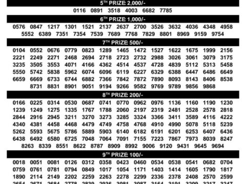 Today Kerala Lottery Result 3pm Sthree Sakthi 08 09 2026
