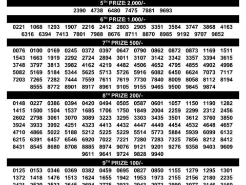 Today Kerala Lottery Result 3pm Dhanalekshmi 14 10 2026