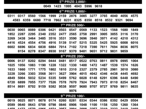 Today Kerala Lottery Result 3pm Samrudhi 11 10 2026